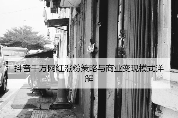 dou-yin-qian-wan-wang-hong-zhang-fen-ce-lve-yu-shang-ye-bian-xian-mo-shi-xiang-jie-1-123.jpg